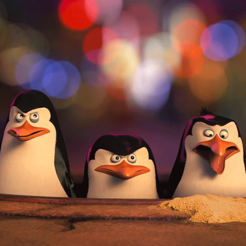 Penguins Squabble Gif